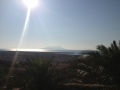 201136_522489614435053_892130990_o.jpg